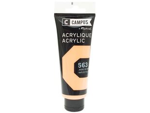 Akrila krāsa Campus 100ml 563 naples yellow warm cena un informācija | Modelēšanas un zīmēšanas piederumi | 220.lv