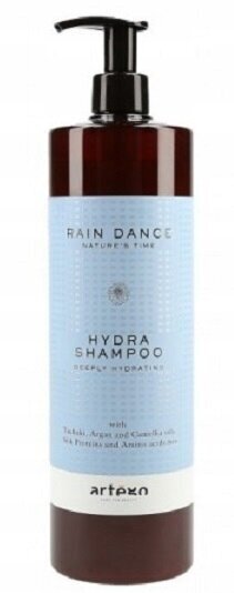 Atjaunojošs un mitrinošs šampūns bojātiem matiem Rain Dance Hydra Artego, 1000 ml цена и информация | Šampūni | 220.lv