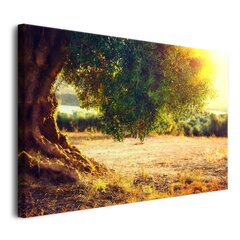 Attēls uz audekla sienas apdare dzīvojamā istaba zaļš olīvkoks 80x120 цена и информация | Картины | 220.lv