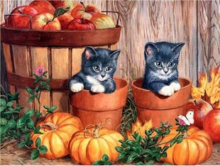 Dimanta mozaīka "Kittens with pumpkins" 30x40cm cena un informācija | Dimantu mozaīkas | 220.lv