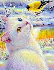 Алмазная мозаика "A cat with a bird" 30х40см цена и информация | Алмазная мозаика | 220.lv