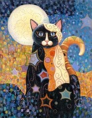 Dimanta mozaīka "Moon cat" 30x40cm cena un informācija | Dimantu mozaīkas | 220.lv