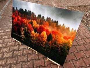 Stikla Bilde meža rudens daba 90x60 cm cena un informācija | Interjera priekšmeti | 220.lv