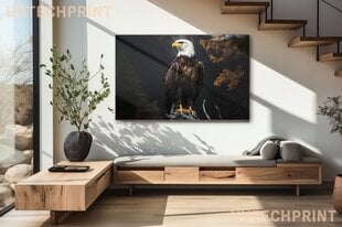 Stikla Bilde ērglis uz melna fona putns 130x83 cm цена и информация | Детали интерьера | 220.lv