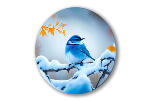 Stikla Bilde apaļš zilais putns ziemas sniegs 80x80 cm cena un informācija | Interjera priekšmeti | 220.lv