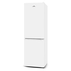Eta ETA275590000E цена и информация | Холодильники | 220.lv