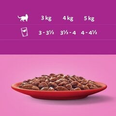 Whiskas mitrā barība kaķiem, 80x85g cena un informācija | Konservi kaķiem | 220.lv