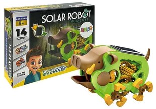 Izglītojošs saules robotu komplekts Boar DIY Lean Toys, 47 d. cena un informācija | Attīstošās rotaļlietas | 220.lv