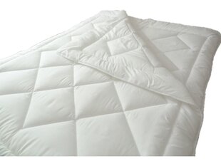 Antialerģiska ziemas sega Thermo Duvet 220x200 Microfacial cena un informācija | Palagi | 220.lv