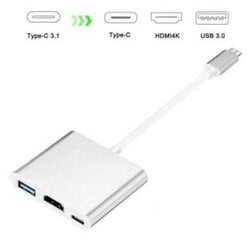 iLike HD1 3in1 USB-C (Type-C) Ligzdas uz HDMI 4K / USB 3.0 / USB-C Siev. Audio & Video Kabeļa Adapteris Sudraba cena un informācija | Adapteri un USB centrmezgli | 220.lv