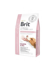 Brit GF Veterinary Diets Dog Hypoallergenic беззерновой сухой корм для собак, людям с дерматологическими и пищеварительными проблемами, 2 кг цена и информация | Сухой корм для собак | 220.lv