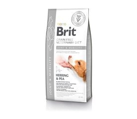 Brit GF Veterinary Diets Dog Mobility беззерновой сухой корм для собак, те, у кого проблемы с костями и суставами, 12 кг цена и информация | Сухой корм для собак | 220.lv