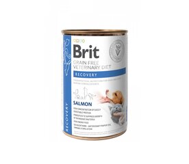 Brit GF Veterinary Diets Recovery влажный корм для выздоравливающих собак и кошек, 0,4 кг цена и информация | Сухой корм для собак | 220.lv