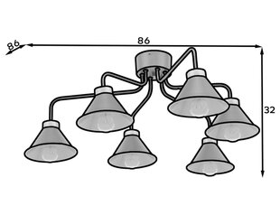 Griestu lampa Detmer cena un informācija | Griestu lampas | 220.lv