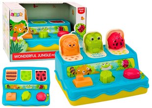 Sensorā spēle Pop Up Lean Toys cena un informācija | Rotaļlietas zīdaiņiem | 220.lv