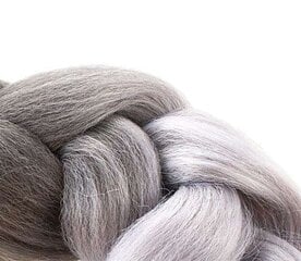 Синтетические волосы омбре косы sz/sz W10345 цена и информация | Карнавальные костюмы, парики и маски | 220.lv