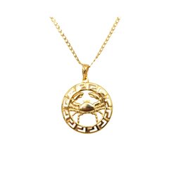 Ķēdīte ar zodiaka zīmi "Vēzis", 49 cm cena un informācija | Kaklarotas | 220.lv