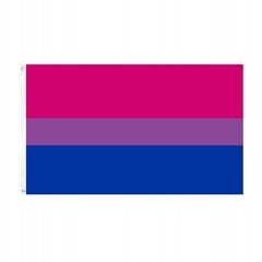 LGBT LARGE Rainbow Flag 90x150cm BISEXUALITY F7 цена и информация | Флаги и аксессуары | 220.lv