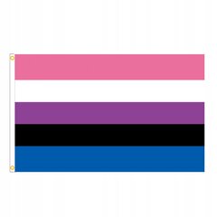 LGBT LARGE varavīksnes karogs 90x150cm GENDERFLUID F4 cena un informācija | Karogi un aksesuāri | 220.lv