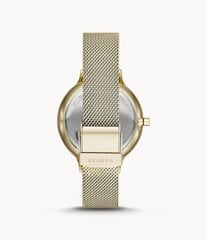 Женские часы Skagen Anita цена и информация | Женские часы | 220.lv