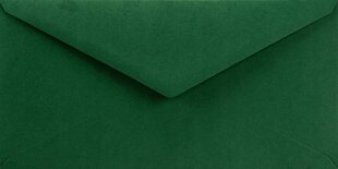 Dekoratīvās aploksnes Sirio Color, DL 11x22 Foglia tumši zaļa, 115g, 25gab. cena un informācija | Aploksnes | 220.lv