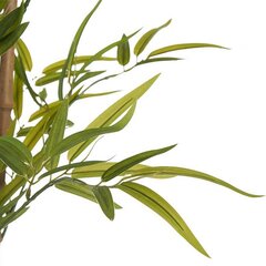 Dekoratīvs Augs Bambuss Zaļš Plastmasa (80 x 150 x 80 cm) cena un informācija | Mākslīgie ziedi | 220.lv