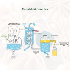 Набор эфирных масел Mumianhua Spices, 6 x 10 мл цена и информация | Эфирные, косметические масла, гидролаты | 220.lv