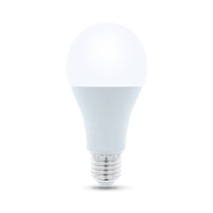 LED Bulb E27 A65 18W 230V 6000K 1700lm Forever Light цена и информация | Лампочки | 220.lv