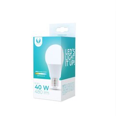 LED Bulb E27 A60 6W 230V 3000K 480lm Forever Light цена и информация | Лампочки | 220.lv