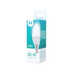 LED Bulb E14 C37 3W 230V 3000K 240lm Forever Light цена и информация | Лампочки | 220.lv