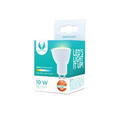 LED spuldze Forever Light GU10 1W, 1gab. cena un informācija | Spuldzes | 220.lv