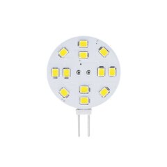 LED spuldze Forever Light G4 2W, 1gab. cena un informācija | Spuldzes | 220.lv