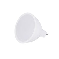 LED spuldze Forever Light GU5,3 MR16 3W, 1gab. cena un informācija | Spuldzes | 220.lv