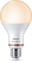 Светодиодная лампочка Philips Wiz A67 smart E27 13 W 1521 Lm (6500 K) цена и информация | Лампочки | 220.lv