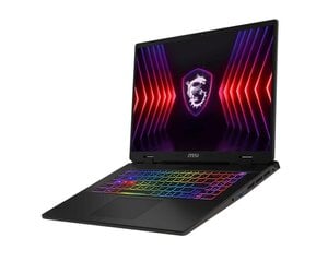 MSI Sword 17 HX B14VFKG (SWORD17HXB14VFKG-010NL) цена и информация | Ноутбуки | 220.lv