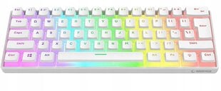 Rampage Radiant K11 White RGB цена и информация | Клавиатуры | 220.lv