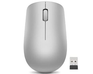 Мышь Lenovo Wireless Mouse 530 Platinum Grey 2.4 GHz цена и информация | Мыши | 220.lv