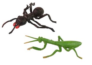 Kukaiņu figūru komplekts Lean Toys Fauna, 6 gab. cena un informācija | Rotaļlietas zēniem | 220.lv