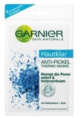 Garnier sejai maska pret izsitumiem, 2x6 ml (VĀCU RAŽOJUMS) cena un informācija | Sejas maskas, acu maskas | 220.lv