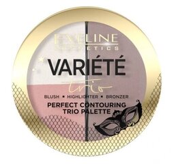 Eveline Cosmetics Kontūru Palete 01 - Gaišs Tons cena un informācija | Bronzeri, vaigu sārtumi | 220.lv