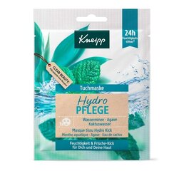 Kneipp Hidratējoša Auduma Mask - 18ml - Latvijas ražojums cena un informācija | Sejas maskas, acu maskas | 220.lv