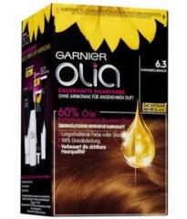 Garnier Olia Matu Krāsa 6,3 Karamelbrūnā Pusmatēta - Vācijas Zīmols. Matu Krāsa Ar Intensīvu Krāsas Un Apgaismošanas Formulu, Kopā Ar Mitrinošu Zīda Proteīnu Un Augsta Skaidrība. cena un informācija | Matu krāsas | 220.lv