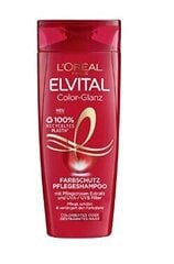 Loreal, Paris, Matu šampūns, 300ml (VĀCIJAS PRODUKTS) cena un informācija | Šampūni | 220.lv