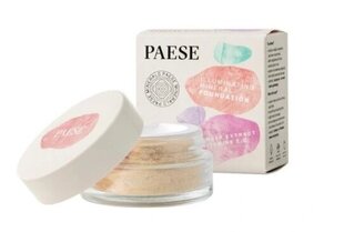 Пудра для лица Paese Mineral Matte 202W Natural, 7г цена и информация | Пудры, базы под макияж | 220.lv