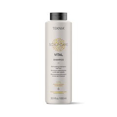 Шампунь Lakmé Teknia Scalp Care Vital (1 L) цена и информация | Шампуни | 220.lv