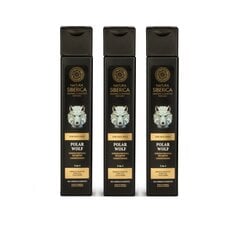 NATURA SIBERICA Stiprinošs šampūns-kondicionieris 2-in-1 Polar Wolf, 3 x 250 ml cena un informācija | Šampūni | 220.lv