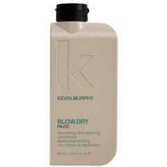 Питательный кондиционер для волос Kevin Murphy Blow Dry Rinse, 250 мл цена и информация | Бальзамы, кондиционеры | 220.lv