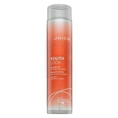 Joico Youth Lock šampūns atsvaidzinošs šampūns spīdīgiem matiem 300 ml cena un informācija | Šampūni | 220.lv