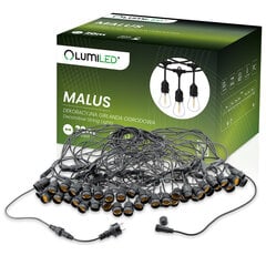 LUMILED GARLAND 230V MALUS 20M 40XE27 KULONS cena un informācija | Āra apgaismojums | 220.lv