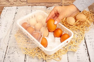 Лоток для яиц, контейнер для яиц, подставка для яиц, Alinco, 27 x 17 x 6 см, для 15 яиц цена и информация | Кухонные принадлежности | 220.lv